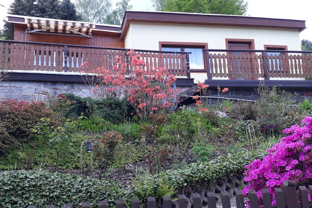 Bungalow Bluehende Oase Sebnitz Exterior photo